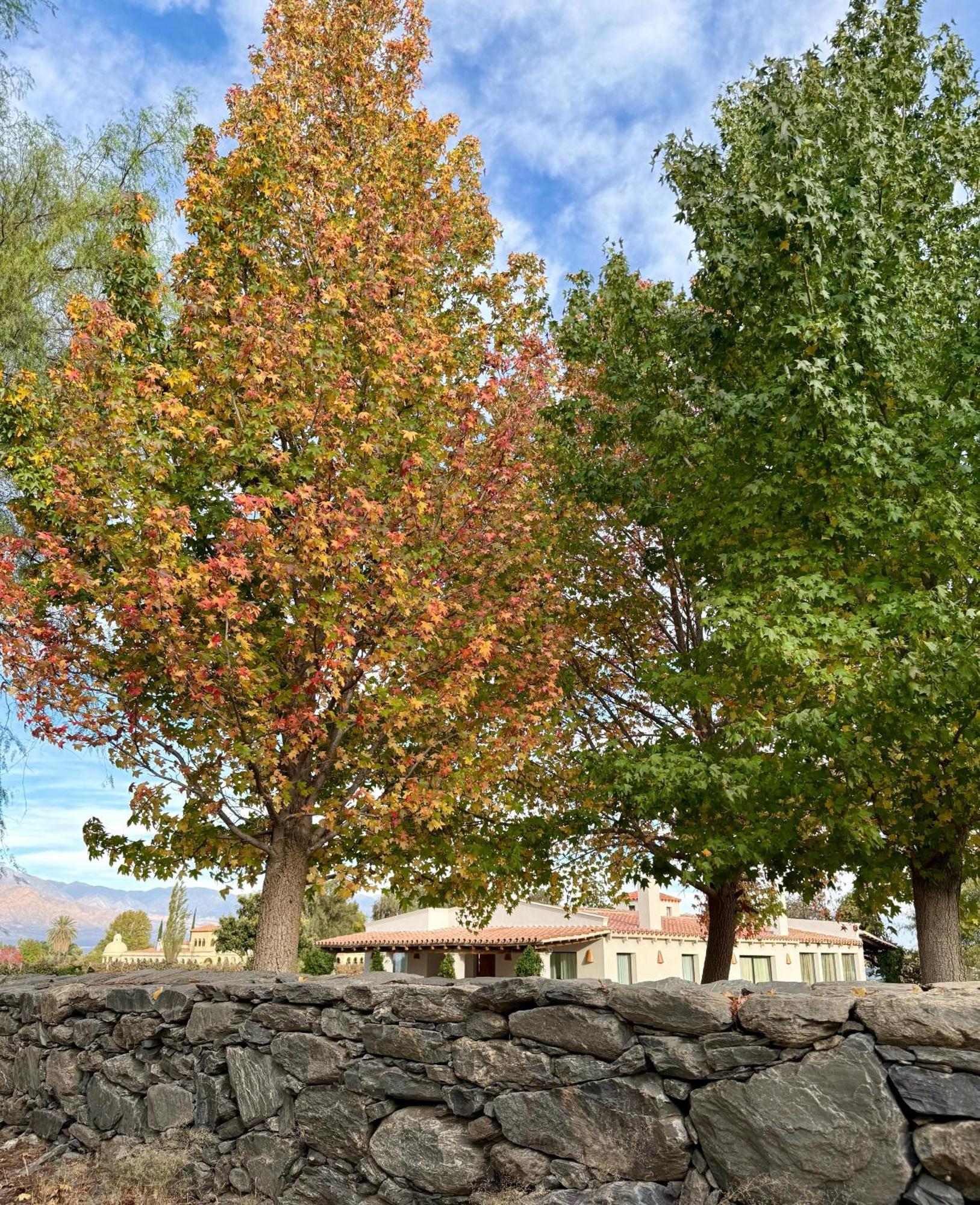Finca El Recreo Cafayate Zewnętrze zdjęcie